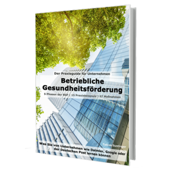 Betriebliche Gesundheitsförderung Buch